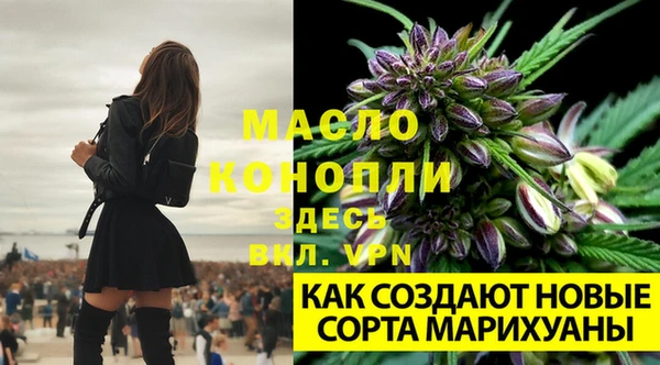 дурь Белокуриха