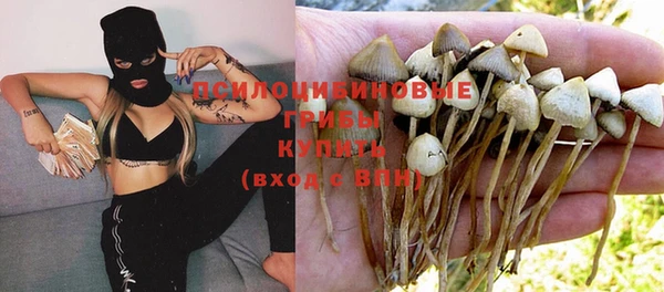 не бодяженный Балахна