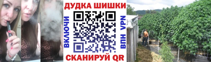МАРИХУАНА ГИДРОПОН  Гороховец 